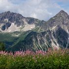 In den Alpen