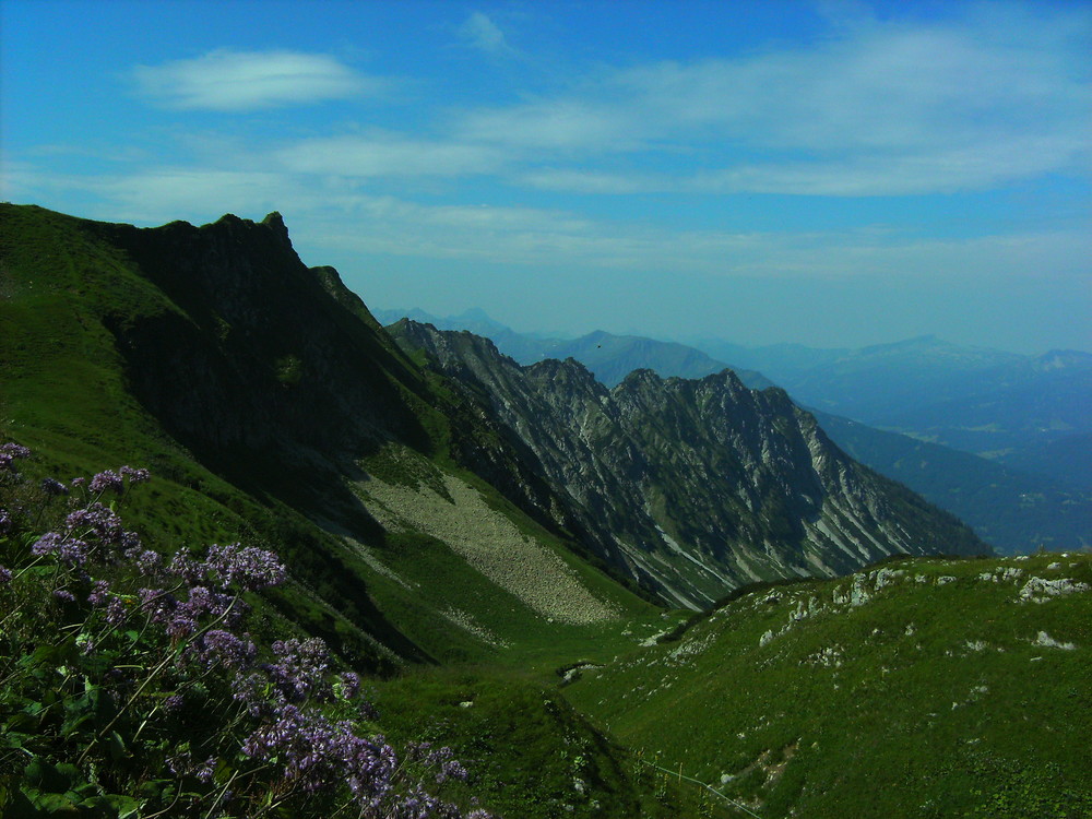 In den Alpen