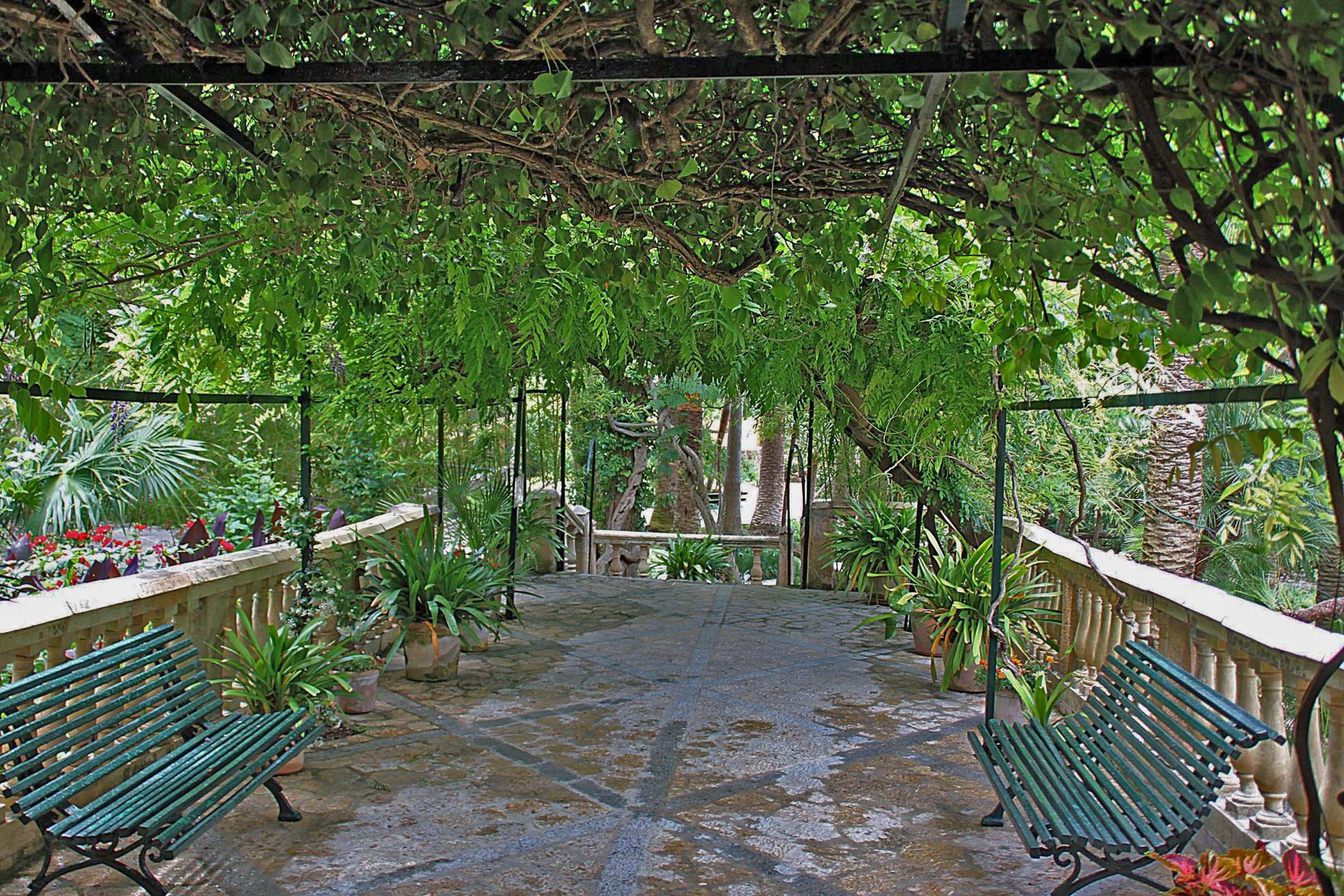 in den arabischen Gärten von Alfàbia (Jardins d´Alfàbia)