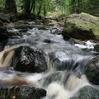 In den Ardennen #2