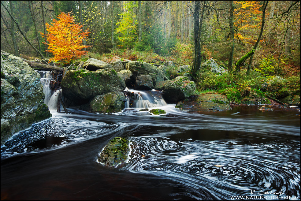 In den Ardennen