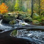 In den Ardennen