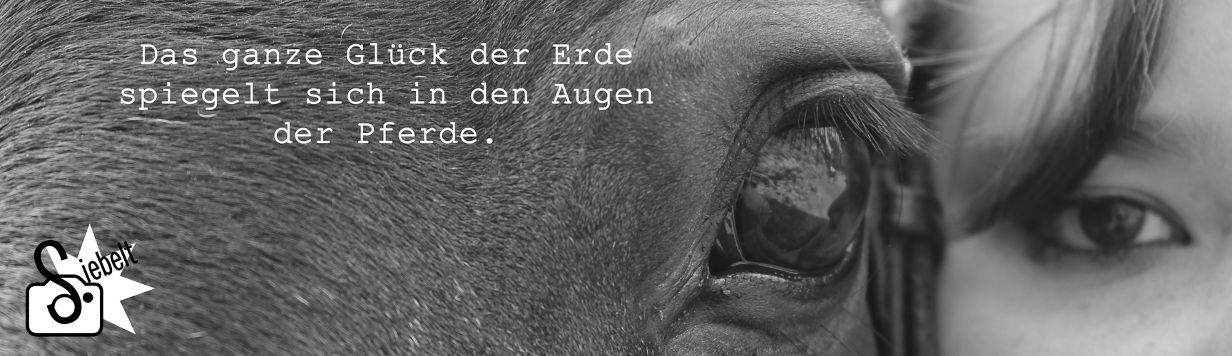 In den Augen der Pferde.....