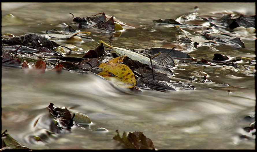 in den Bach gefallen