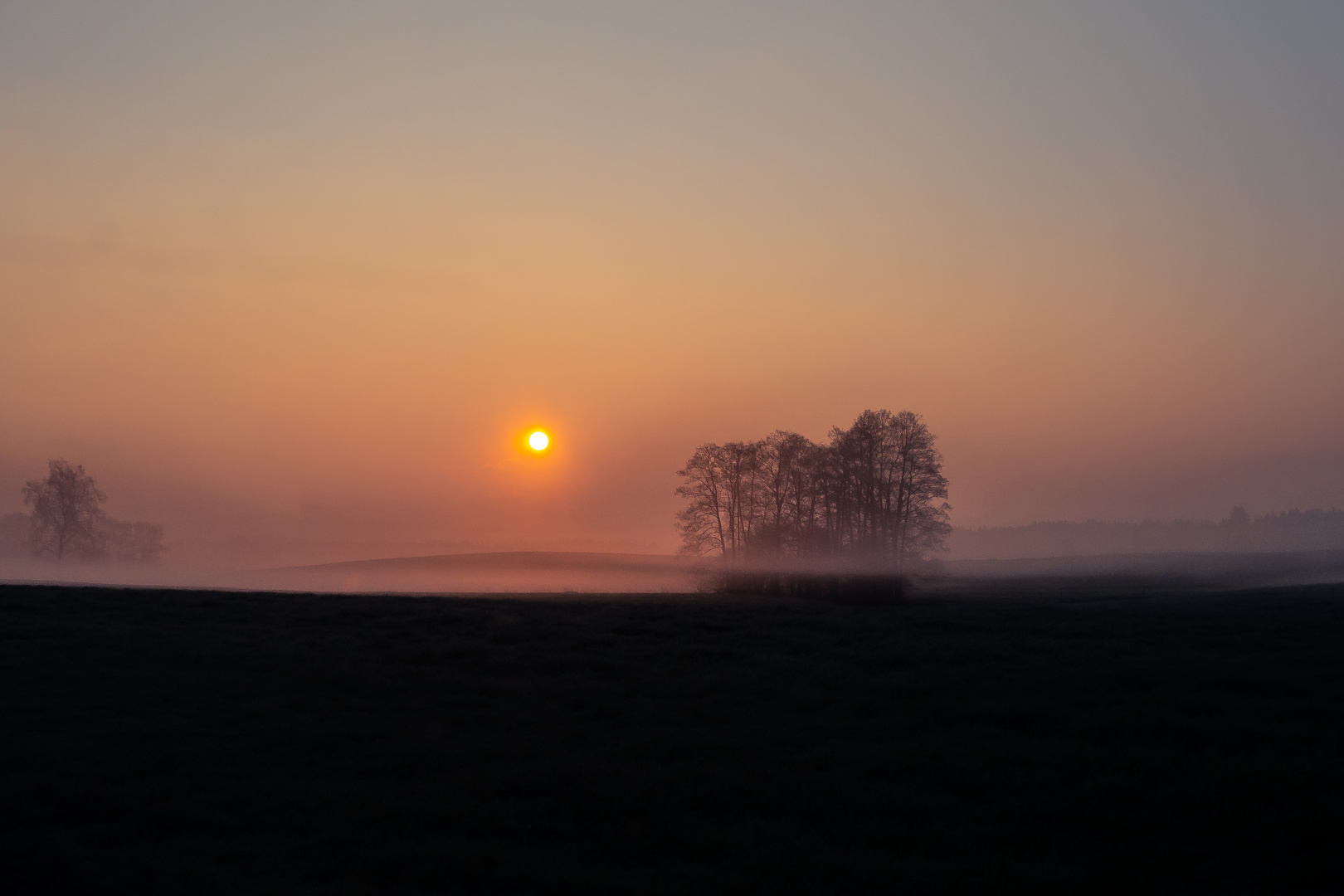 in den Bachauen am Morgen