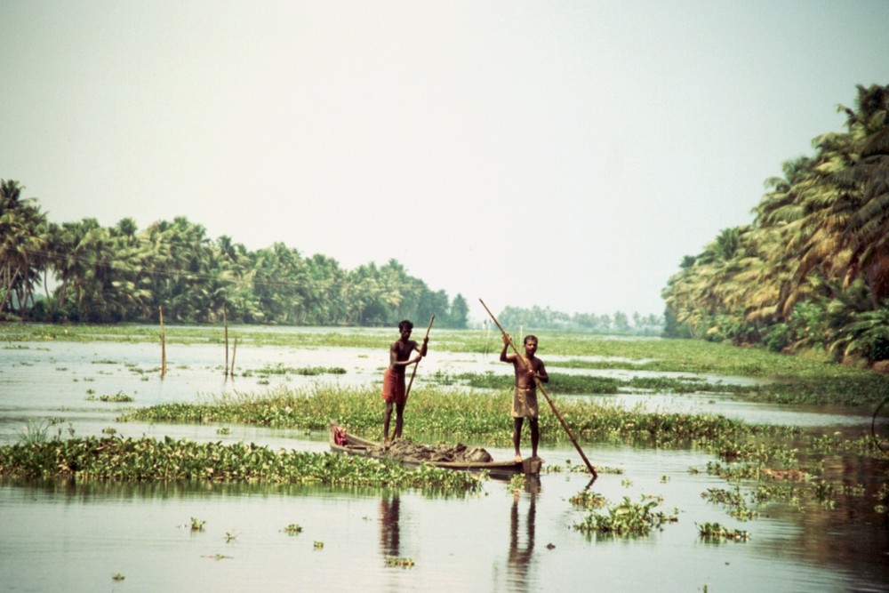 In den Back-Waters, Indien