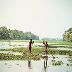 In den Back-Waters, Indien