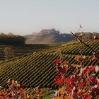 In den badischen Weinbergen