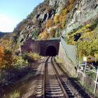 In den Bauch der Loreley