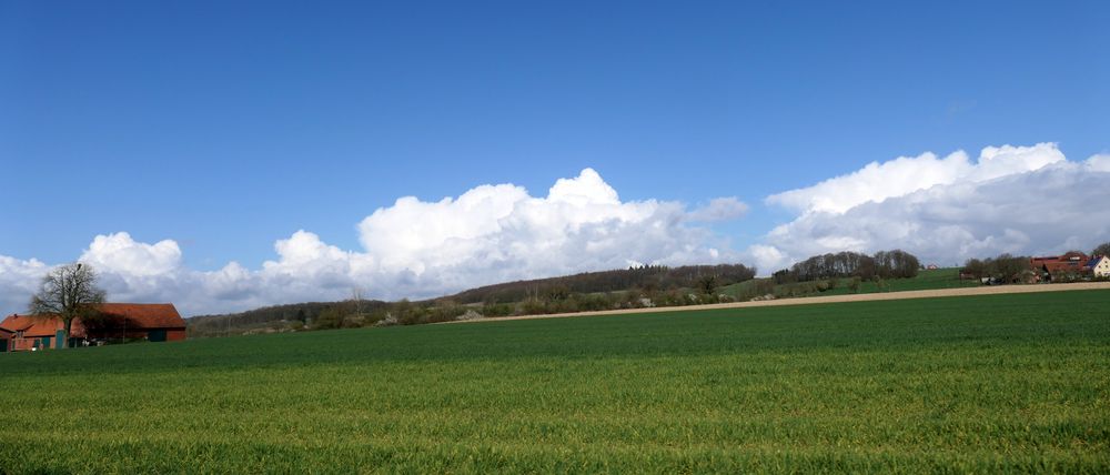 In den Baumbergen-Münsterland