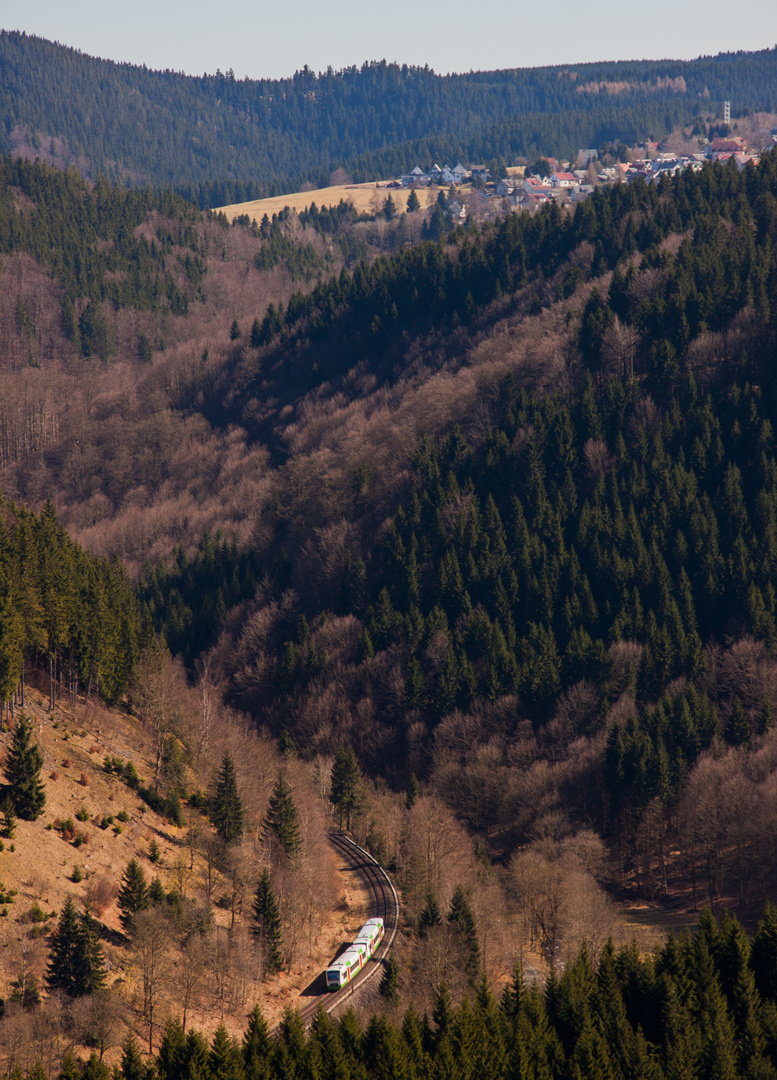 In den Baumwipfeln des Thüringer Waldes