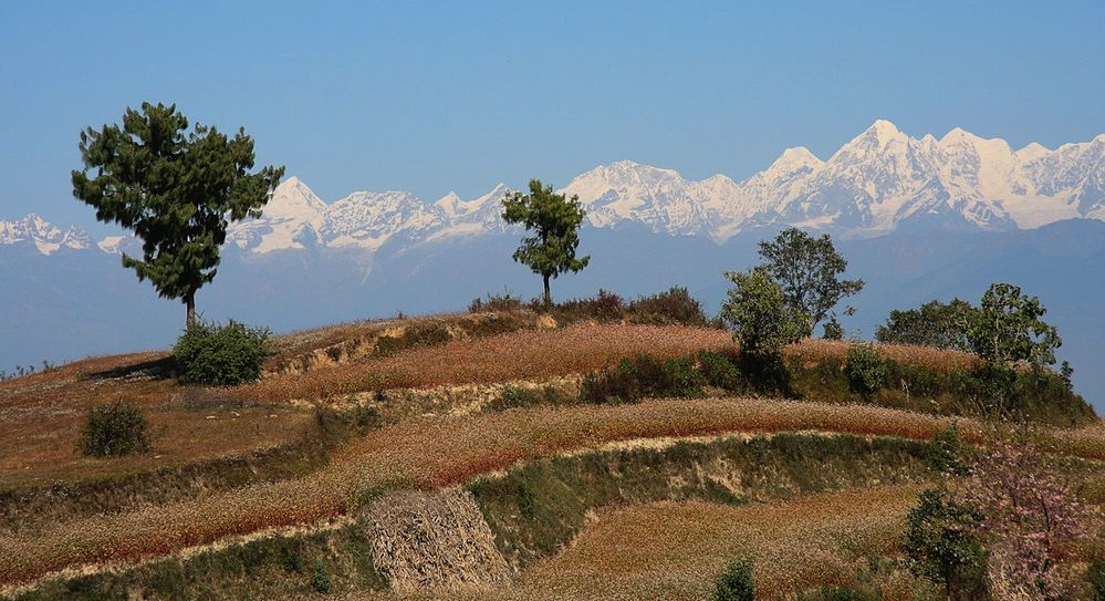 In den Berge Nepals