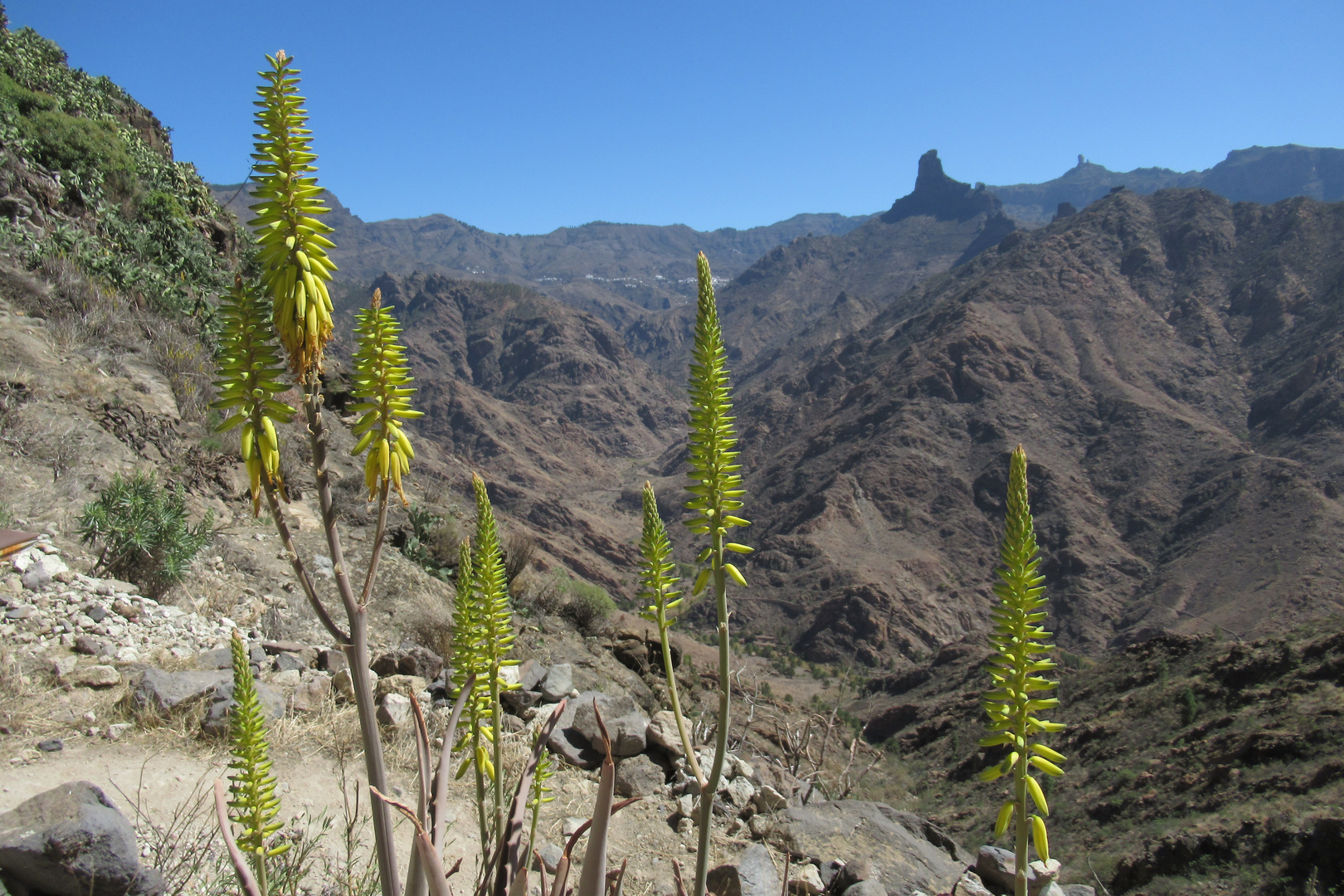 In den Bergen auf Gran Canaria