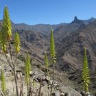 In den Bergen auf Gran Canaria