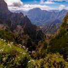 In den Bergen auf Madeira