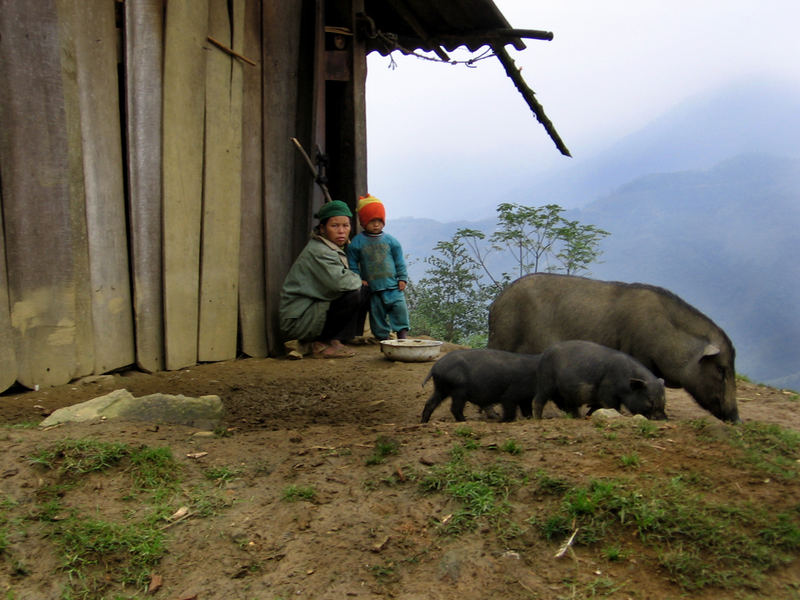 in den Bergen bei SaPa Vietnam