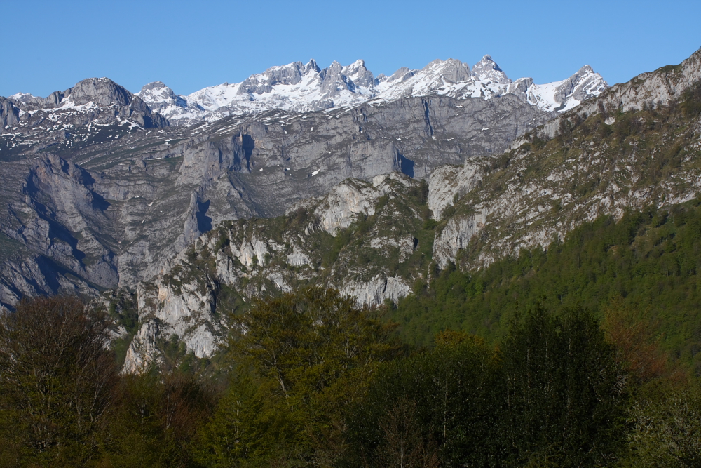 In den Bergen der Wölfe 1