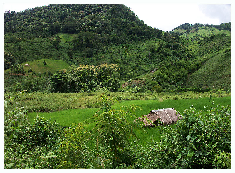 In den Bergen - Luang Prabang, Laos