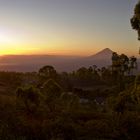 In den Bergen von Flores - Indonesien