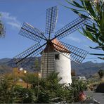 In den Bergen von Gran Canaria