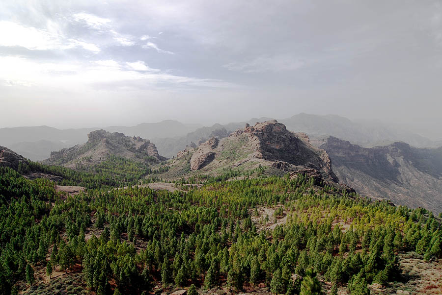 In den Bergen von Gran Canaria