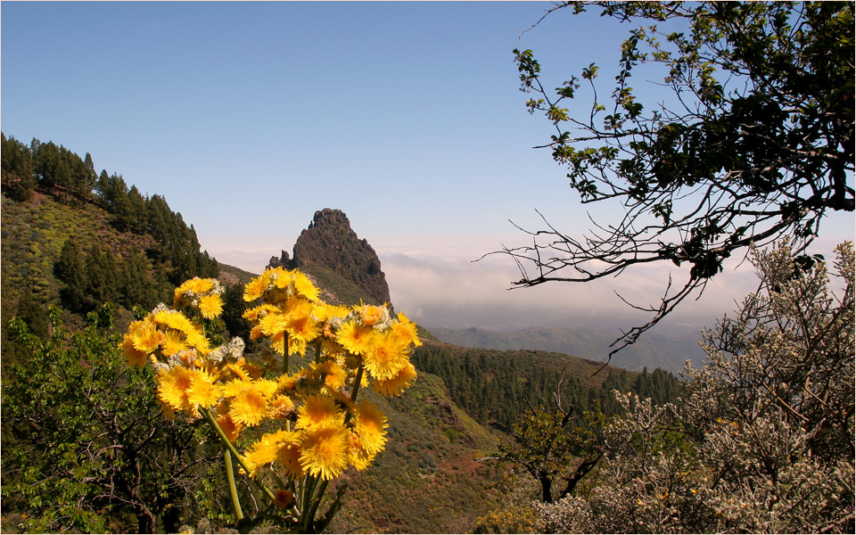 In den Bergen von Gran Canaria