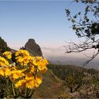 In den Bergen von Gran Canaria