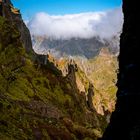 In den Bergen von Madeira