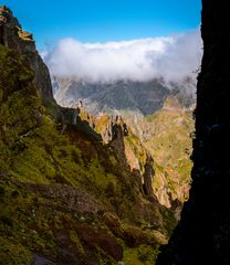 In den Bergen von Madeira