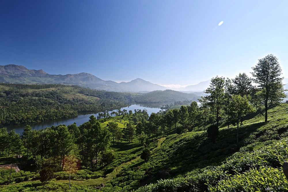 In den Bergen von Munnar