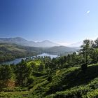 In den Bergen von Munnar