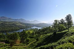 In den Bergen von Munnar