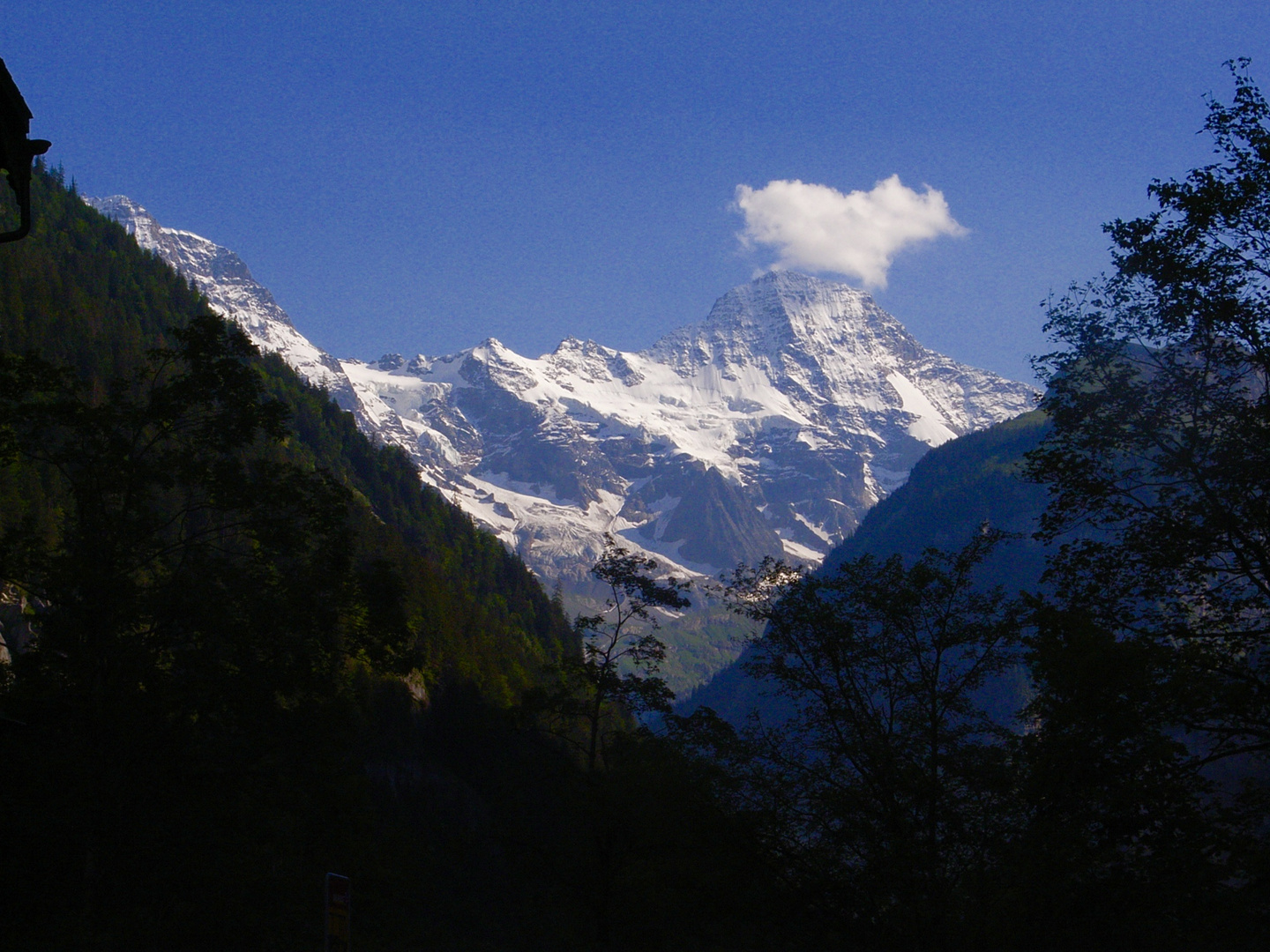 In den Berner Alpen....