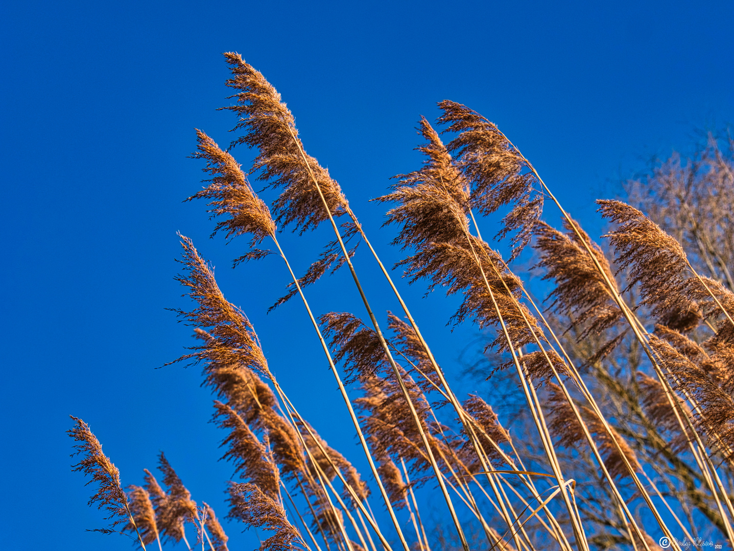 In den blauen Himmel