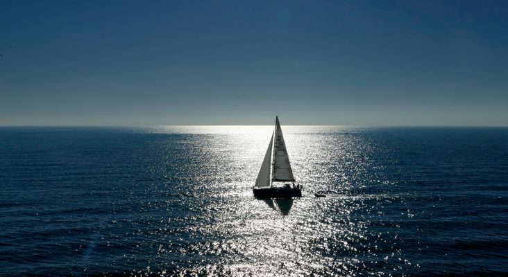 in den blauen Weiten des Oceans