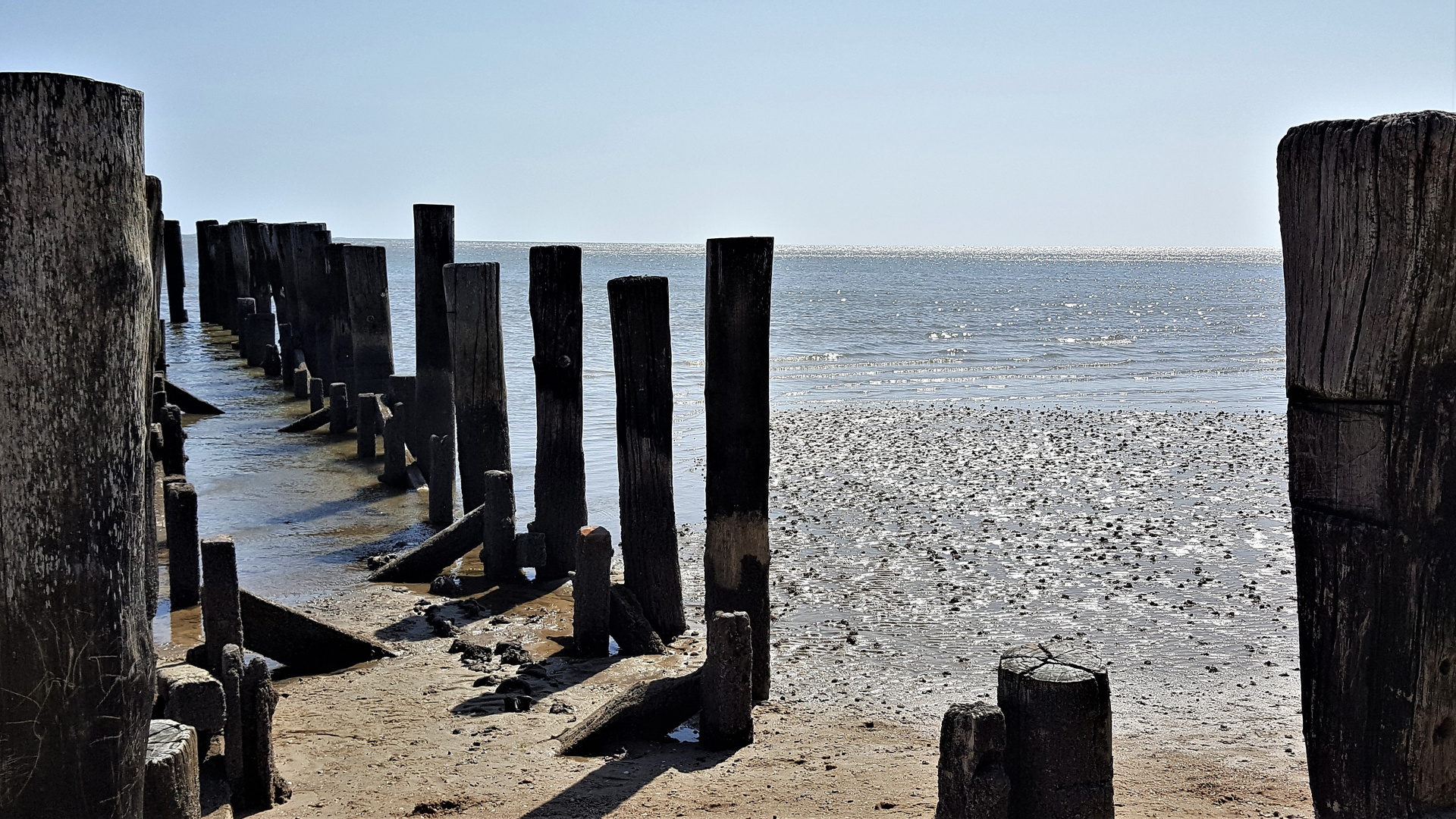 -in-den-buhnen-der-nordsee-