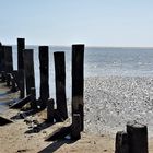 -in-den-buhnen-der-nordsee-