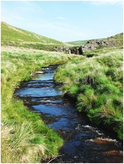 in den Cambrian Mountains