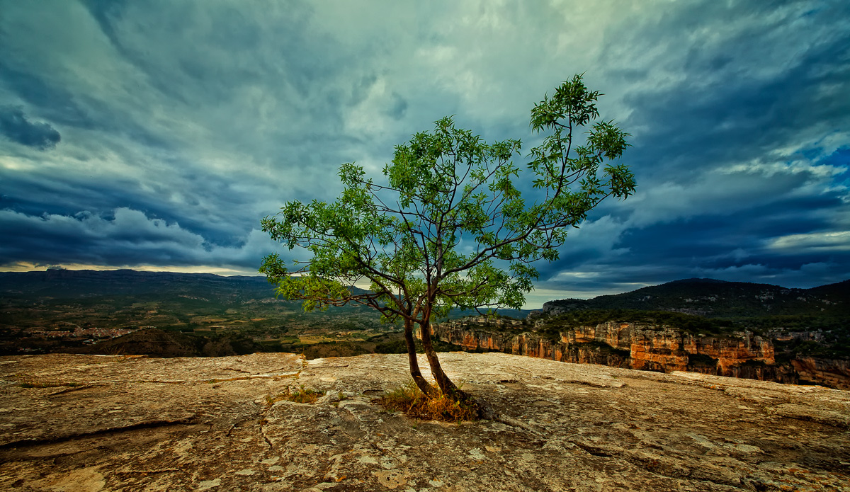 In den Canyon`s von Spanien