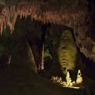 In den Carlsberg Caverns