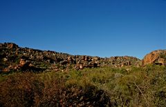 In den Cederberg Mountains (11)