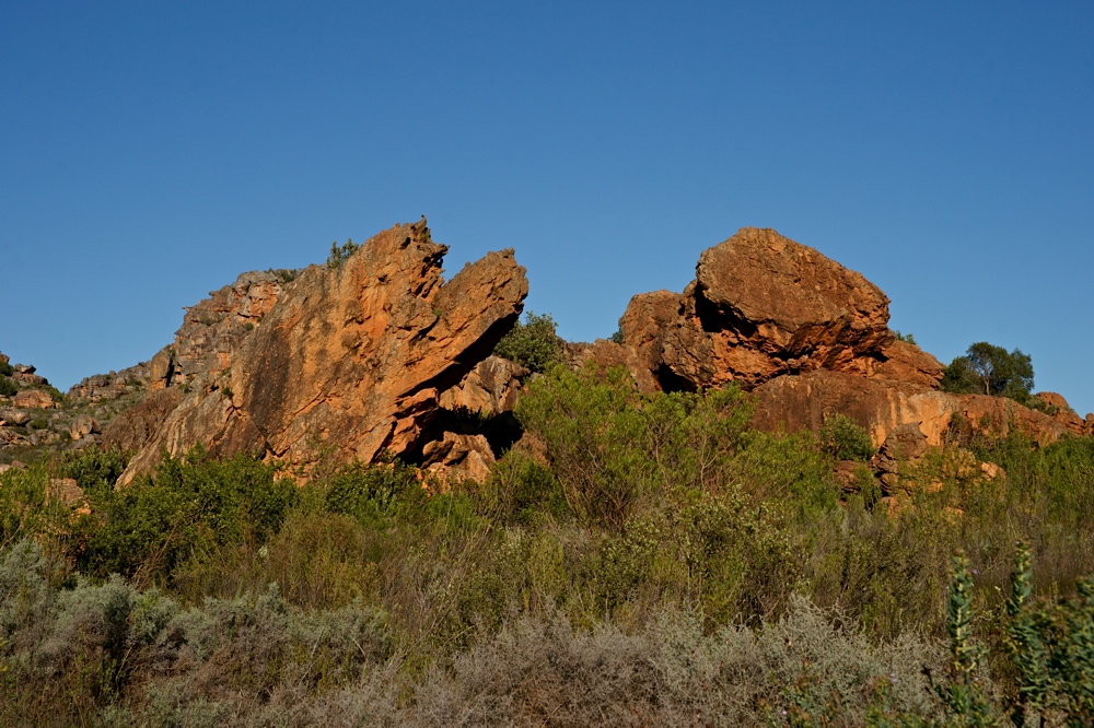 In den Cederberg Mountains (12)