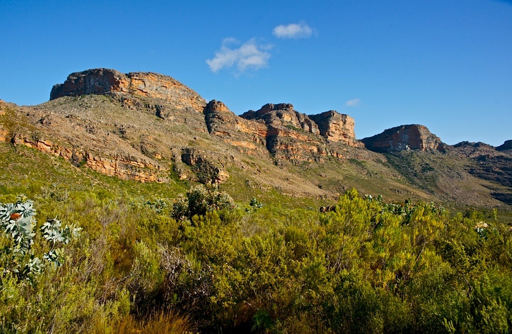 In den Cederberg Mountains (14)