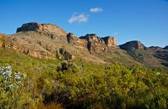 In den Cederberg Mountains (14)