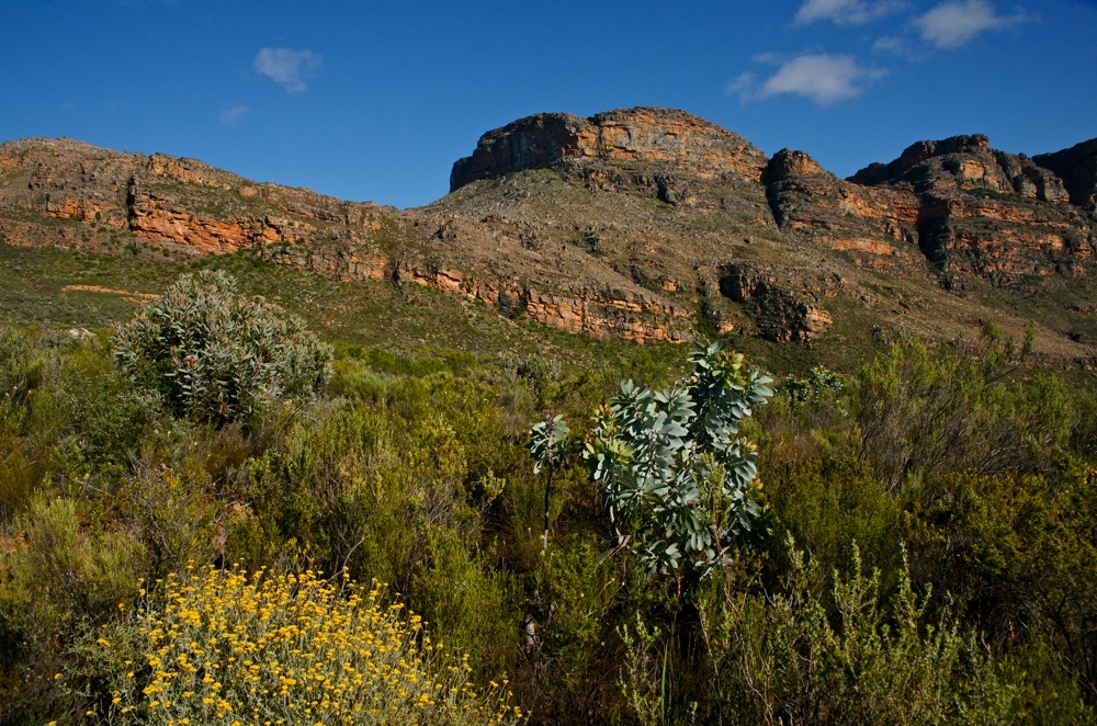 In den Cederberg Mountains (16)