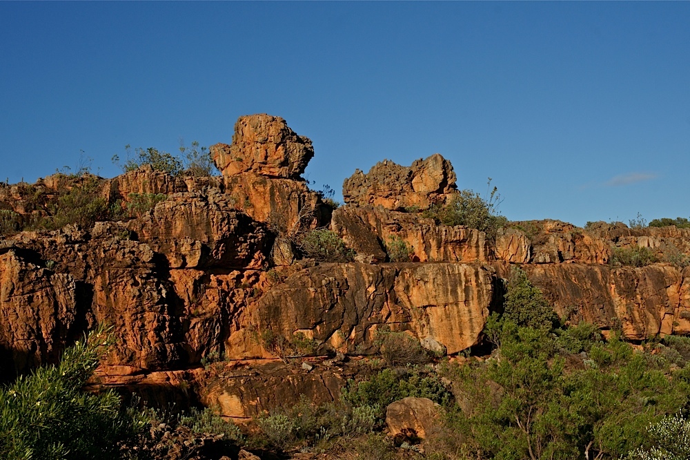 In den Cederberg Mountains (2)