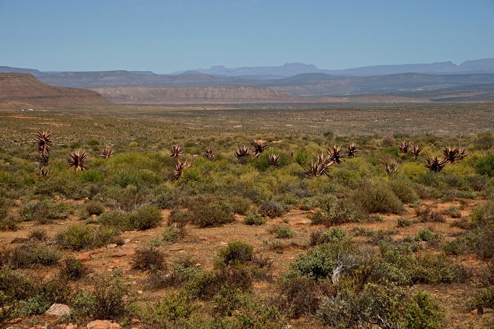 In den Cederberg Mountains (25)