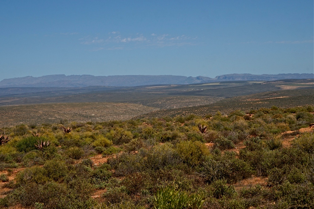 In den Cederberg Mountains (26)