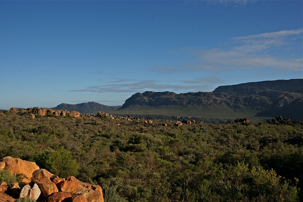 In den Cederberg Mountains (3)