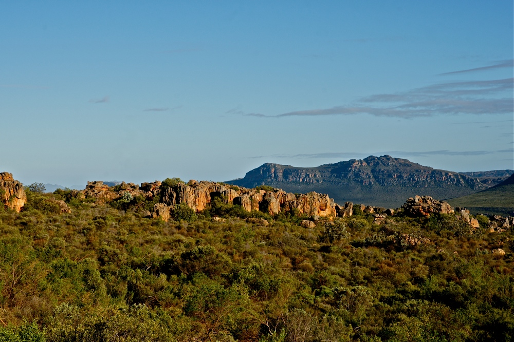 In den Cederberg Mountains (4)